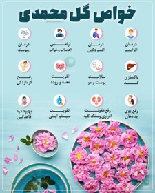 تصویر غنچه گل محمدی صد گرمی 