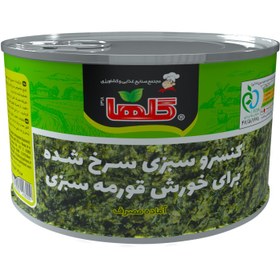 تصویر سبزی قورمه نیمه سرخ شده 480 گرم – کنسرو 