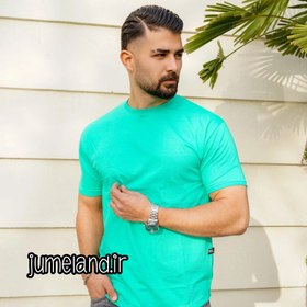 تصویر تیشرت لش لانگ بیسیک مردانه سبز کله قازی - 3XL Plain Green Carpet T Shirt