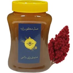 تصویر عسل طبیعی سماق + برگه آزمایش 