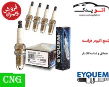 تصویر شمع اکیوم پایه کوتاه دو پلاتین RFC42LZ2E-A5 مناسب خودرو دوگانه سوز - پژو ۴۰۵ 