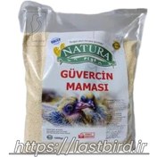 تصویر غذای کمکی جوجه کبوتر 