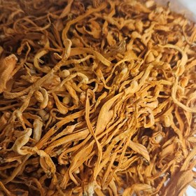 تصویر قارچ کوردیسپس میلیتاریز خشک شده بسته 20 گرمی cordyceps militaris cordyceps militaris mushroom