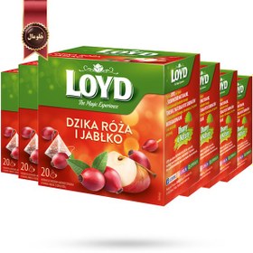 تصویر چای کیسه ای هرمی لوید LOYD مدل گل رز و سیب rosehip & apple پک 20 تایی بسته 6 عددی 