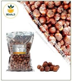 تصویر فندق ارگانیک 