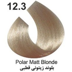 تصویر رنگ موی کاترومر KATROMER،شماره 12.3 بلوند زیتونی قطبی 