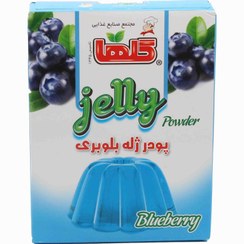 تصویر گلها پودرژله بلوبری جعبه ای 100گرمی کد14031383 