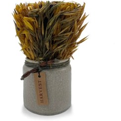 تصویر گلدان با گل خشک 