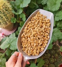 تصویر توت اردبیل - ۲۵۰ گرم 