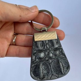 تصویر جاکلیدی کروکدیل طوسی 