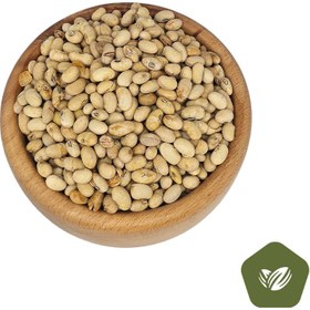 تصویر سویا نمکی 