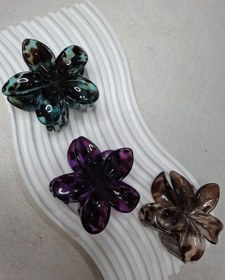 تصویر کلیپس پلومریا پلنگی 