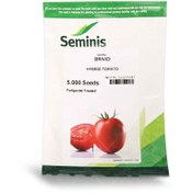 تصویر بذر گوجه‌فرنگی بریویو سمینیس ۵۰۰۰ عدد 