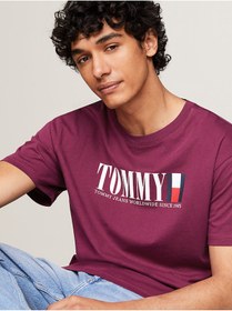 تصویر تیشرت مردانه تامی هیلفیگر اورجینال بنفش Tommy Hilfiger DM0DM18533VVK 