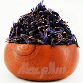 تصویر گل گاوزبان 