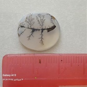 تصویر نگین شجر انگشتر کد 250 