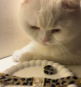 تصویر میوکی - دستبند 