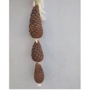 تصویر کاج جویدنی طوطی ۳ تایی تمیز و ضدعفونی 