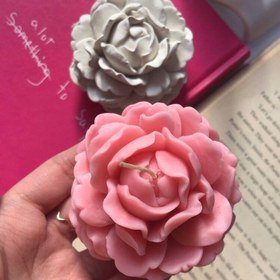 تصویر قالب گل پیونیا 