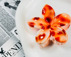 تصویر کلیپس پلومریامدل خال خالی 