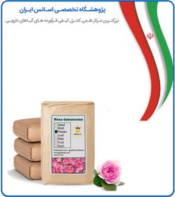 تصویر گل محمدی تازه فله 