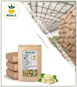 تصویر توت خشک فله 