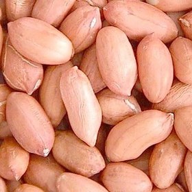 تصویر بادام زمینی ممتاز آستانه -1000 گرمی - 5 کیلویی عمده Peanut