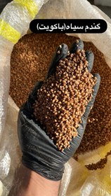 تصویر گندم سیاه(باکویت) 