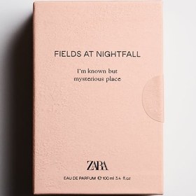 تصویر ادکلن اورجینال زارا فیلدز ات نایت فال 100 میل ZARA Fields At Nightfall Women 