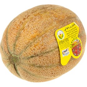 تصویر ملون ارگانیک 