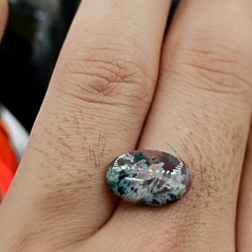 تصویر نگین شجر طبیعی کد ۱۲۰۸۱ 