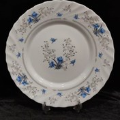 تصویر پلوخوری آرکوپال پارس اپال مدل رمانتیک 120 گل آبی 