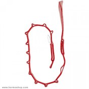 تصویر دیزی چین اسکای لوتک مدل Vario Loop 