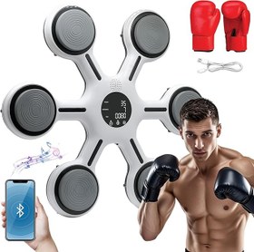 تصویر کیسه بوکس موزیکال برند FENGINX 