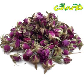 تصویر غنچه گل محمدی 