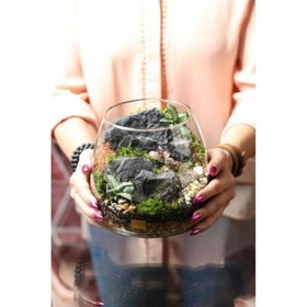 تصویر تراریوم دواکوا 