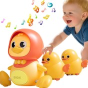 تصویر اردک تابدار Swinging duck