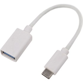 تصویر کابل تبدیل Samsung OT-200 OTG USB To Type-C Samsung Design OT-200 OTG Type-C Cable 17cm