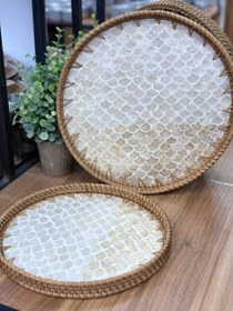 تصویر سینی صدفی کد ۱۲ 