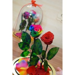 تصویر گل دیو و دلبر دو شاخه جاودان(ماندگاری 3 سال) 