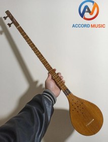 تصویر سه تار / سه تار حرفه‌ ای کریمی sitar