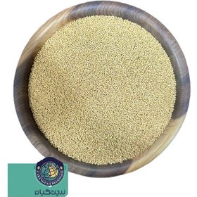 تصویر تخم خردل زرد هندی 