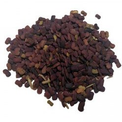 تصویر عدس الملک 