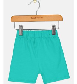 تصویر شلوارک ساده پسرانه برای کودکان، رنگ فیروزه‌ای برند lark Toddlers Boy Plain Short, Teal