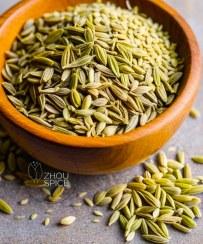 تصویر زیره سبز 