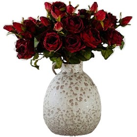 تصویر گل خشک رز مینیاتوری 