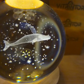 تصویر گوی کریستالی نهنگ 