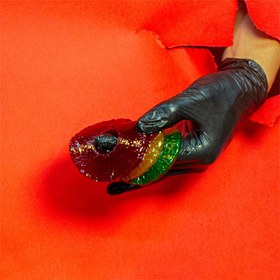 تصویر ترشک آناناس (زرد) 