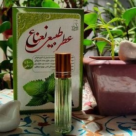 تصویر عطر طبیعی نعناع 