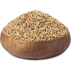 تصویر تخم گشنیز فله 